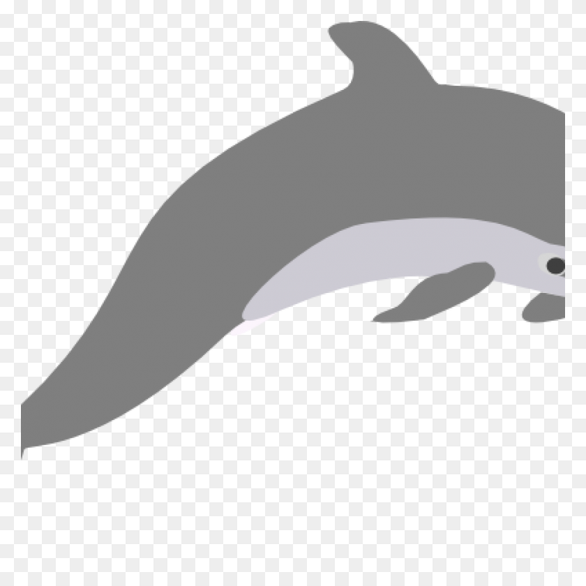 1024x1024 Dolphin Clipart Outline Grey Clip Art At Clker Vector Classroom - Porpoise Clipart