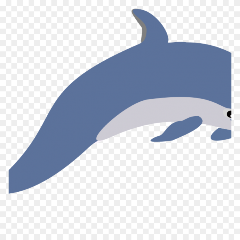 1024x1024 Dolphin Clipart Summer Clipart House Clipart Online Descargar - Saltando Clipart De Peces