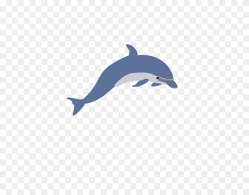 424x600 Дельфин Энрике Меза C Png Картинки Для Интернета - Морская Свинья Клипарт