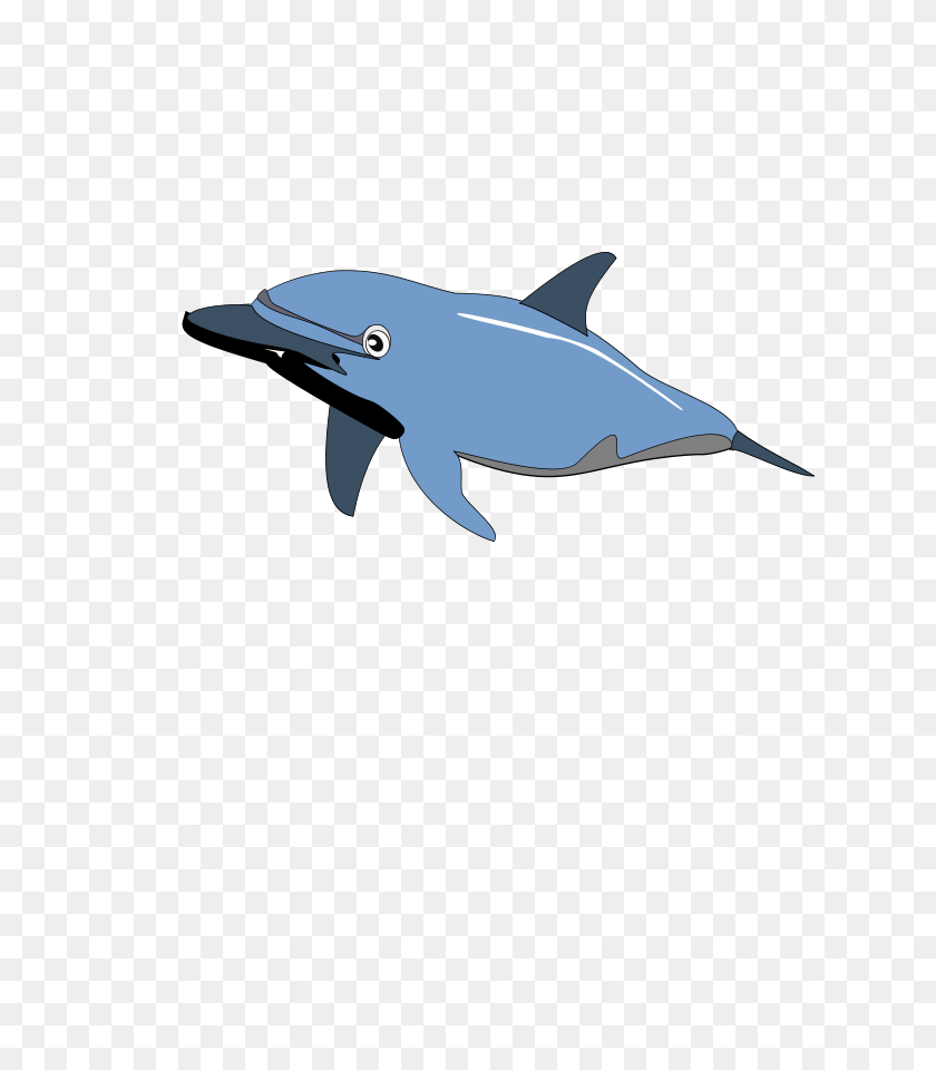 637x900 Дельфин Энрике Меза С Png Большого Размера - Дельфин Png