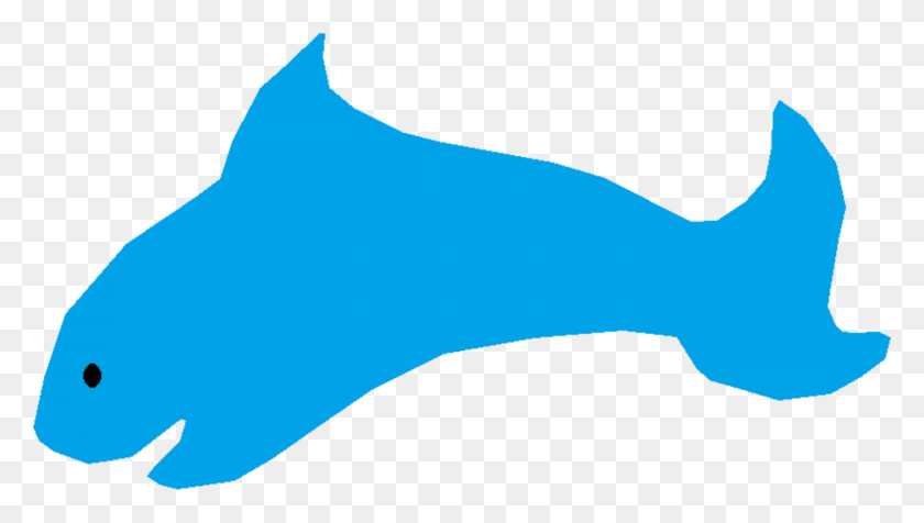 1404x750 Delfín Tiburón Marsopa Biología Marina De La Fauna - La Marsopa De Imágenes Prediseñadas