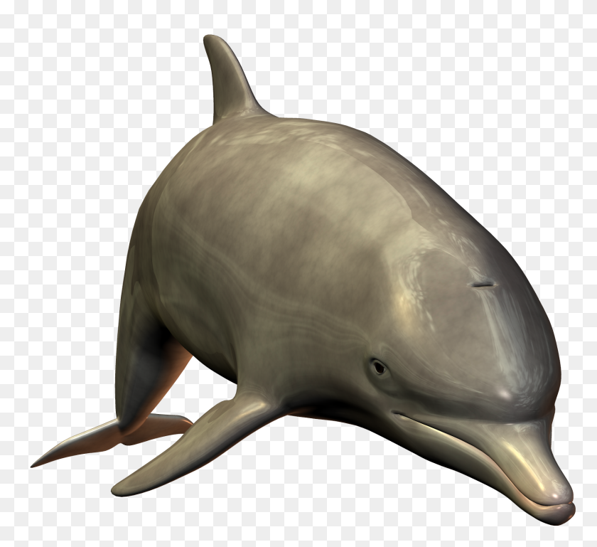 1683x1531 Delfines Clipart Starfish - Scuba Diver Silueta Imágenes Prediseñadas