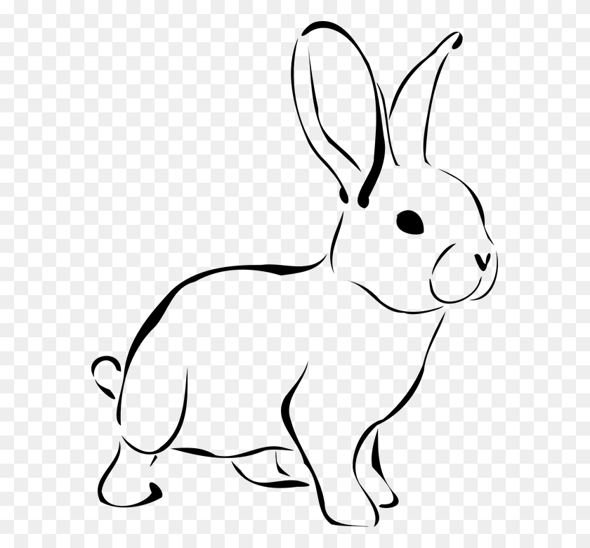 579x720 Домашние Животные Png Черно-Белые Прозрачные Домашние Животные - Белый Кролик Png