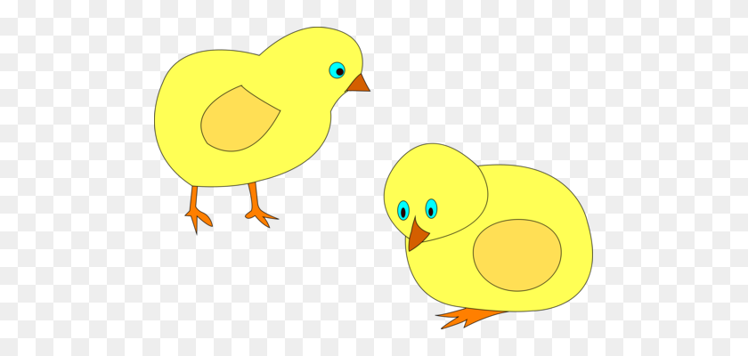 493x340 Domestic Canary Canaries, Hybrids And British Birds In Cage - Canary Clipart
