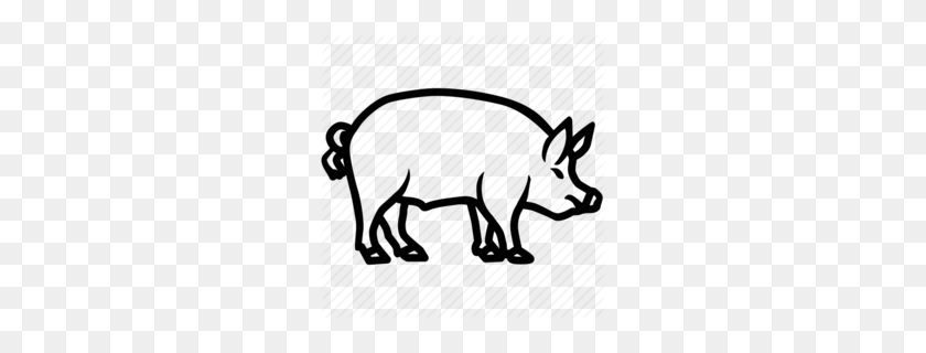 260x260 Domestic Clipart Clipart - Hog Clipart Black And White