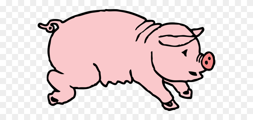 590x340 Domestic Pig Intensive Animal Farming Animal Husbandry Free - Pig Pen Clipart