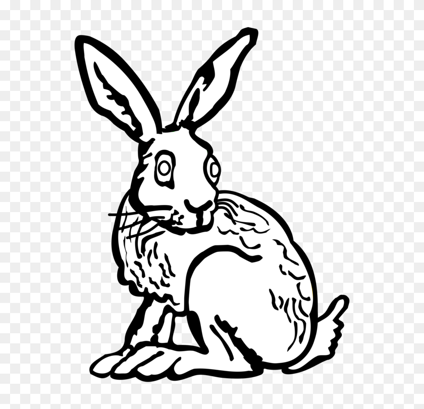 592x750 Domestic Rabbit Hare Black And White Line Art Drawing Free - Bunny Clipart Outline