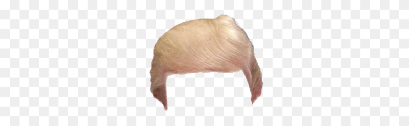 300x200 Donald Trump Hair Png Png Image - Trump Hair PNG