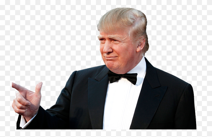 745x483 Donald Trump Png Clipart - Trump PNG