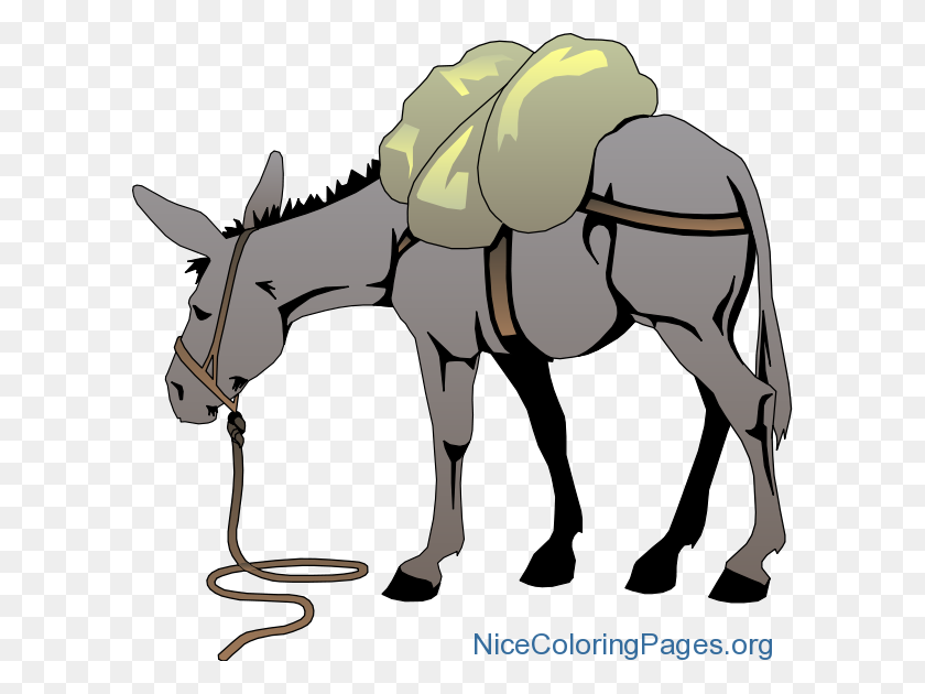 600x570 Donkey Clipart Png Nice Coloring Pages For Kids - Coloring Pages PNG