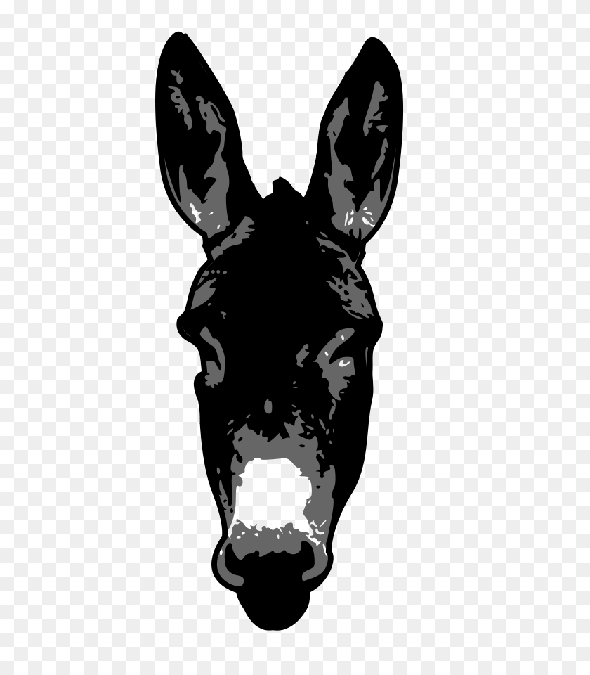 636x900 Donkey Png Clip Arts For Web - Donkey Face Clipart