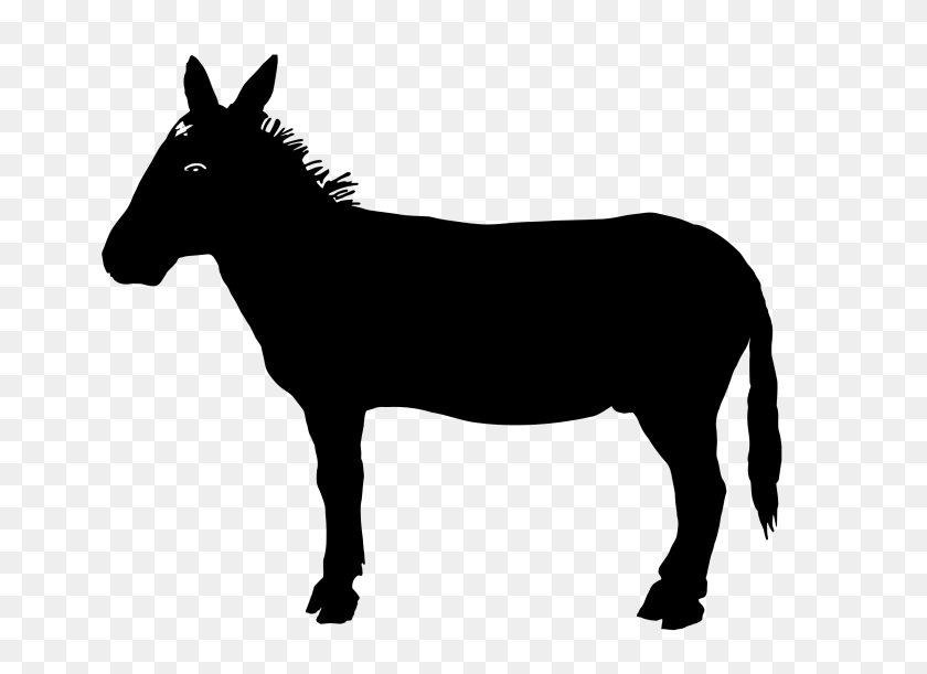 2400x1697 Donkey Silhouette Icons Png - Donkey PNG