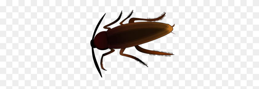 320x229 No Permita Que Una Cucaracha Muerta Se Una A Su Equipo De Arrendamiento - Roach Png