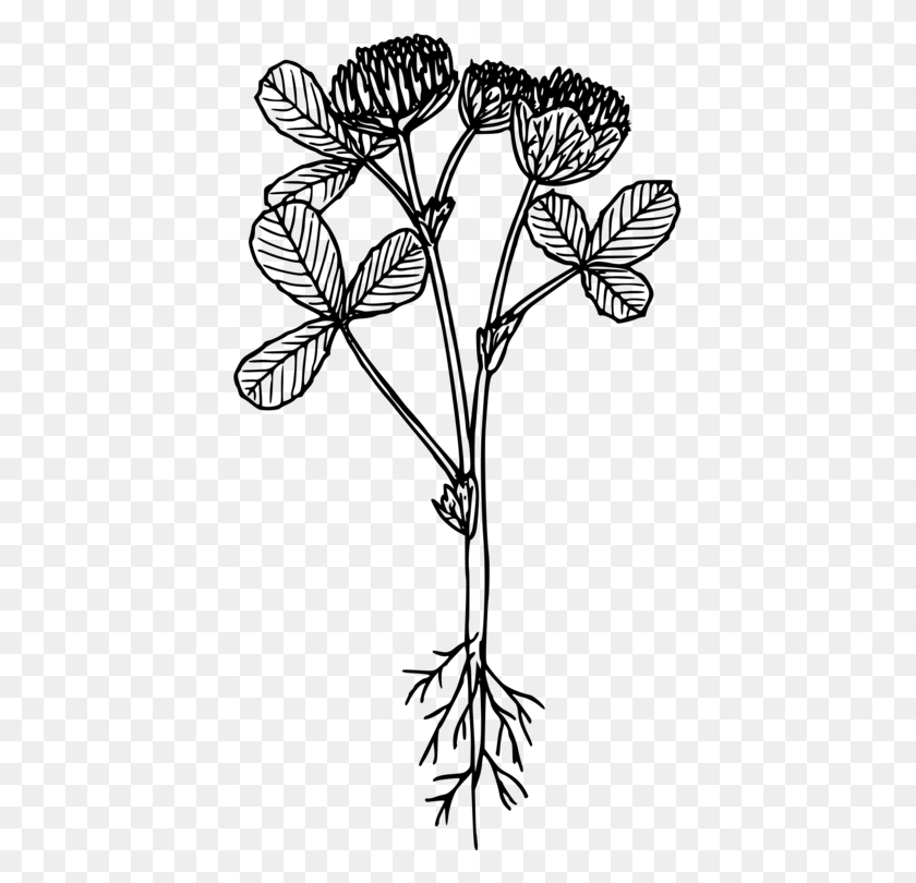 411x750 Пончики Trifolium Cyathiferum Компьютерные Иконки Рисование Изобразительного Искусства - Пончик Клипарт Черный И Белый
