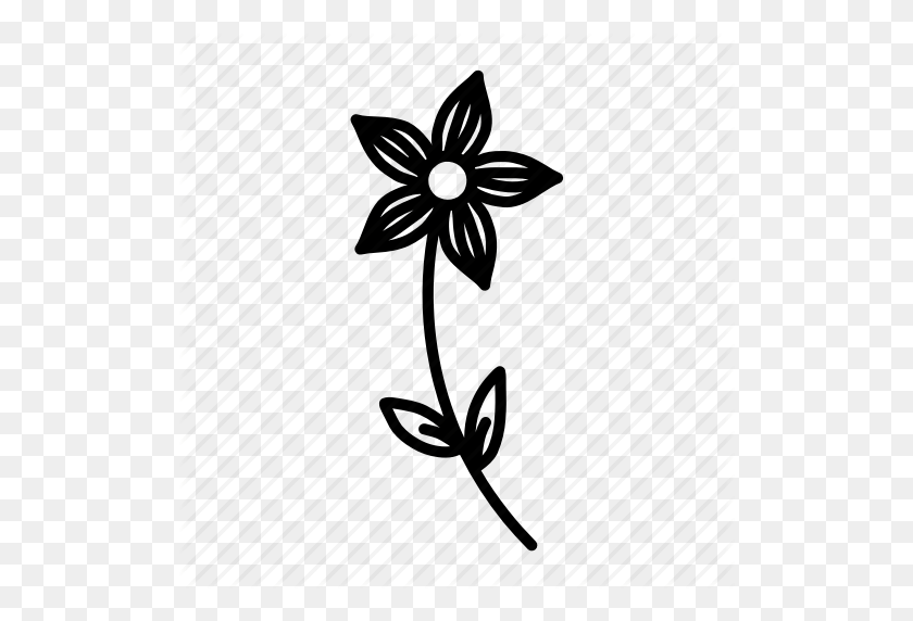 512x512 Doodle, Environment, Flower, Garden, Nature, Petals, Plant Icon - Flower Doodle PNG