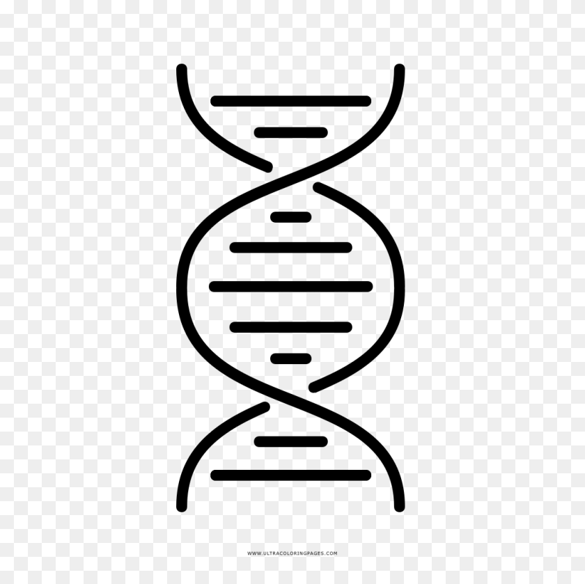 1000x1000 Double Helix Coloring Page - Dna Helix PNG