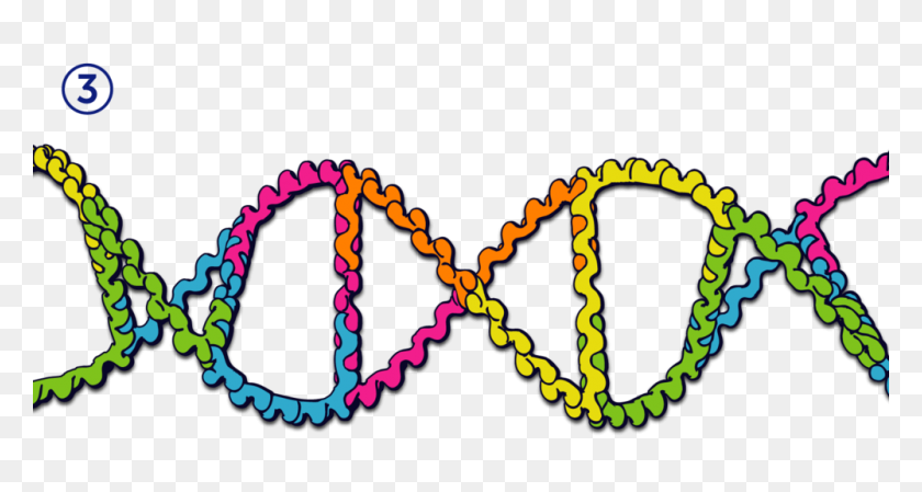 1000x500 Double Helix Stems Flexible Construction Toy - Dna Helix PNG
