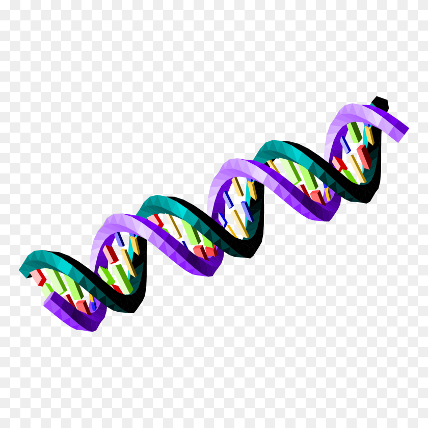 2000x2000 Double Stranded Dna Sequence - Dna Strand PNG