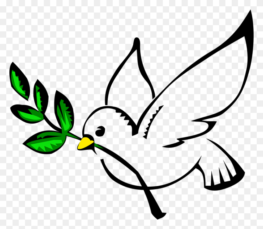 837x720 Dove Clipart Freedom - Freedom Clipart