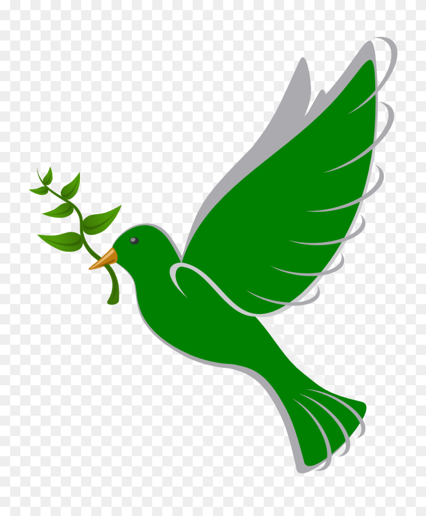 999x1228 Dove Clipart Peace Dove - Dove With Olive Branch Clip Art