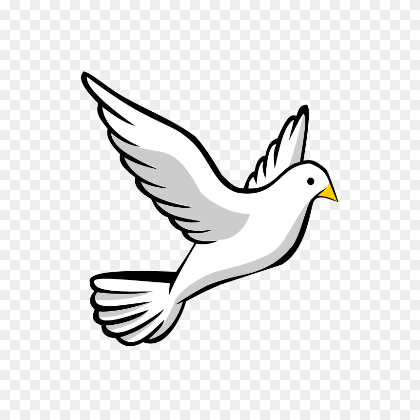 800x800 Dove Clipart Transparent No Background - Flying Money Clipart