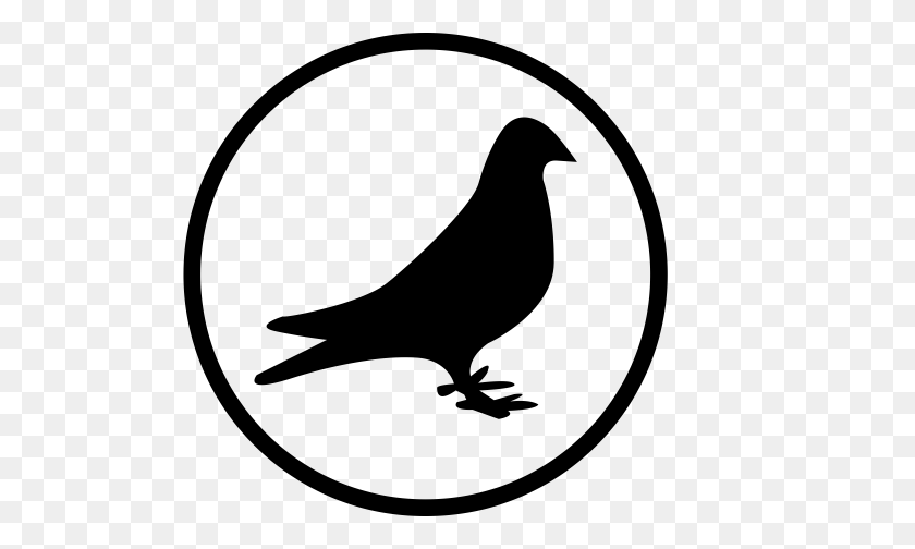 512x444 Dove, Feral, Pigeon Icon With Png And Vector Format For Free - Pigeon Clipart Black And White