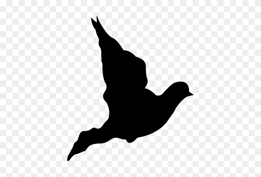 512x512 Dove Flying Sequence - Paloma PNG