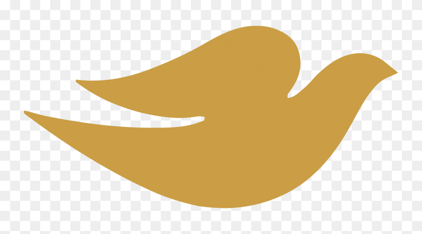 2000x1043 Dove Logos - Dove Logo PNG