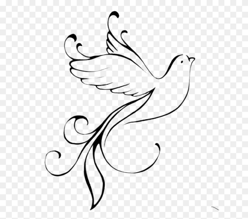 684x684 Dove Outline Png Png Image - Body Outline PNG