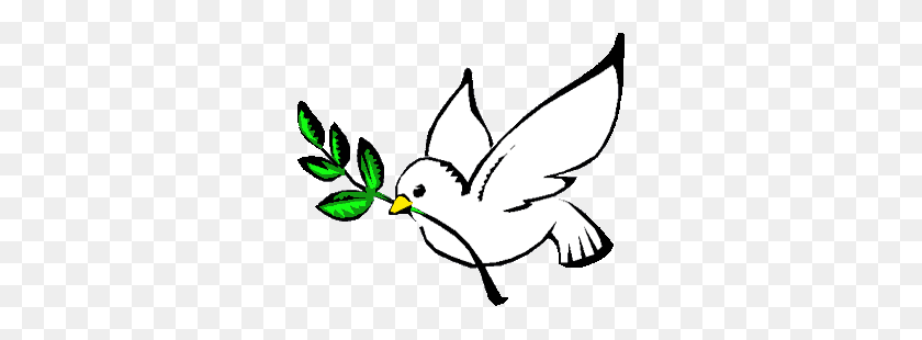 300x250 Dove Peace - Peace PNG