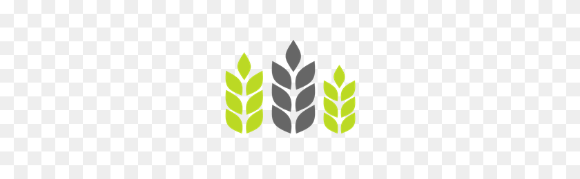 200x200 Descargar Agricultura Gratis Png Photo Images And Clipart Freepngimg - Agricultura Png