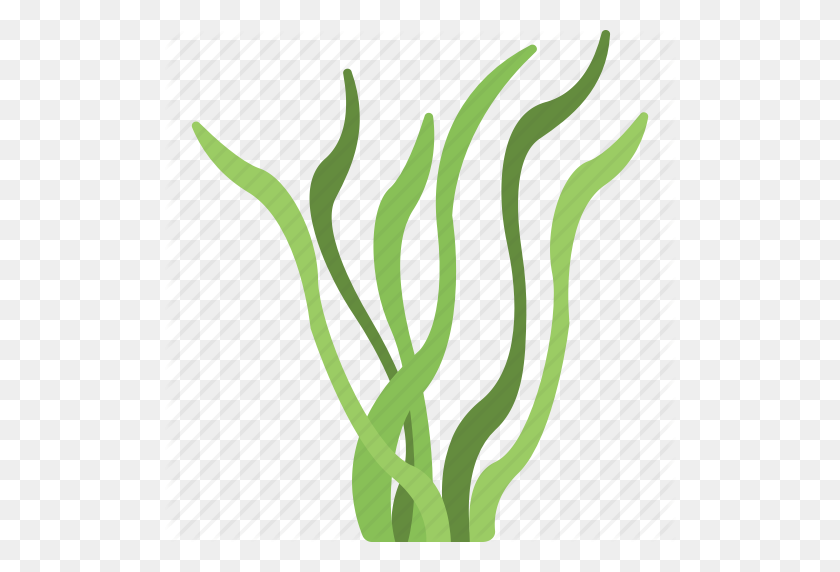 512x512 Download Alga Emoji Png Clipart Algae Clip Art Seaweed, Leaf - Algae Clipart