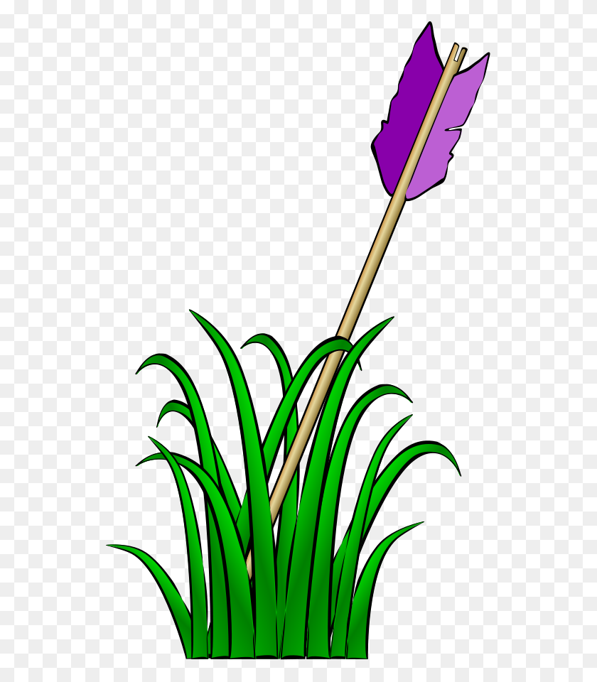 542x900 Download Arrow In The Grass Clipart - Grass PNG Transparent