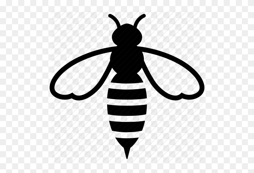 512x512 Download Avispa Para Colorear Clipart Bee Clipart Bee - Beehive Clipart
