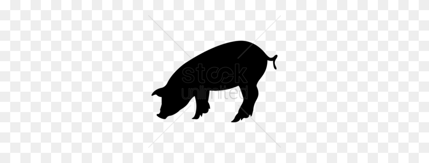 260x260 Download Baby Pig Silhouette Clipart Silhouette Domestic Pig - Baby Pig Clipart