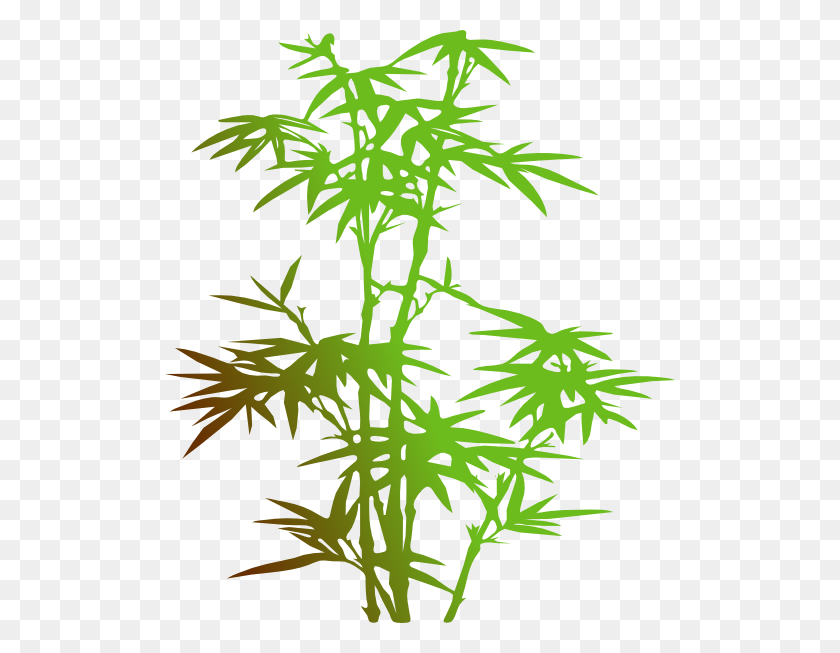 510x593 Download Bamboo Clipart - Bamboo PNG