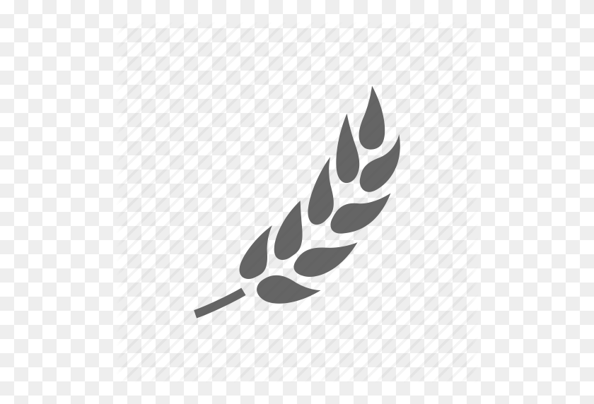 512x512 Download Beer Wheat Icon Clipart Wheat Beer Clip Art Beer, Wheat - Wheat Clipart
