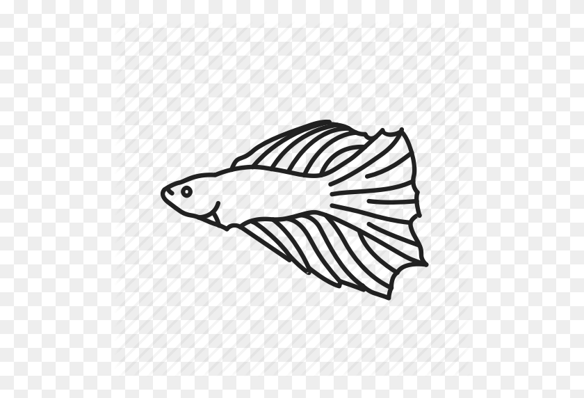 512x512 Скачать Клипарт Иконка Бетта Рыба Сиамские Бойцовые Рыбы Аквариум - Fish Tank Клипарт