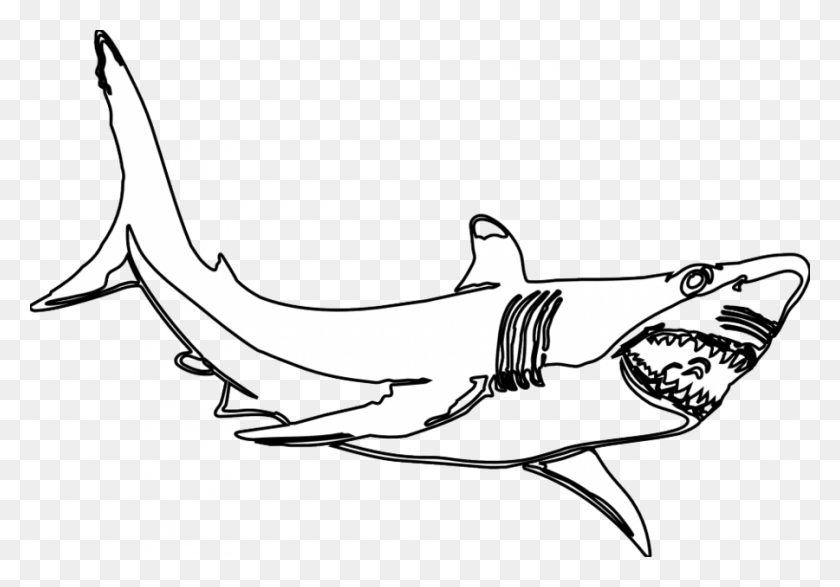 900x609 Download Black And White Shark Clip Art Clipart Great White Shark - Marlin Clipart