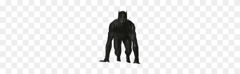 200x200 Download Black Panther Free Png Photo Images And Clipart Freepngimg - Andy Biersack PNG