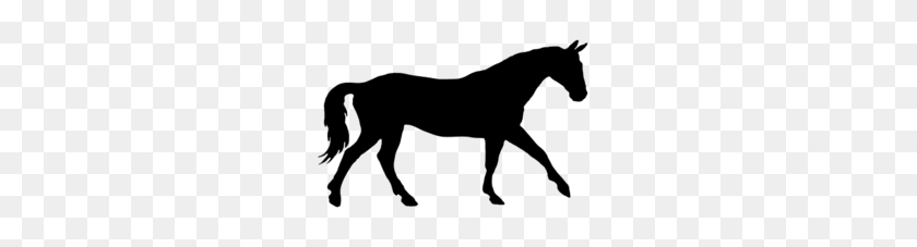260x167 Скачать Черный Силуэт Лошади Клипарт Лошадь Конный Клипарт - Клипарт Лошадь Черный И Белый