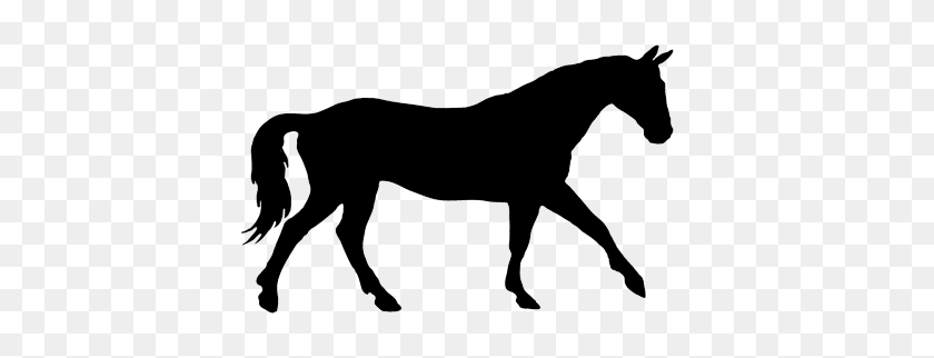 409x262 Download Black Silhouette Horse Clipart Horse Equestrian Clip Art - Horse PNG Clipart