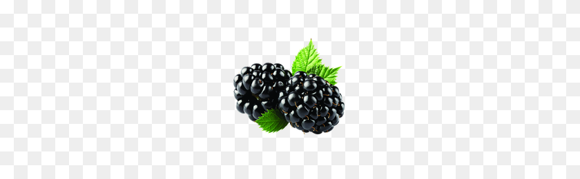 200x200 Descargar Blackberry Free Png Photo Images And Clipart Freepngimg - Fruta Png