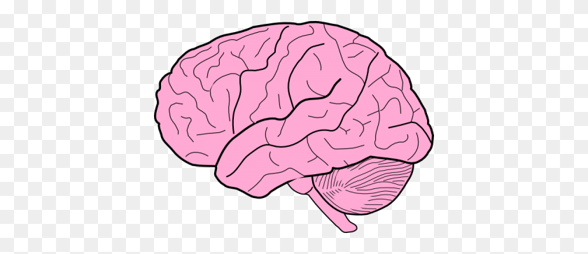 400x303 Download Brain Free Png Transparent Image And Clipart - Brain Vector PNG