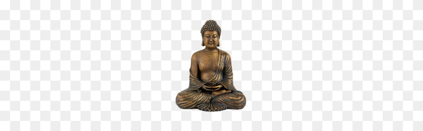 200x200 Download Buddha Free Png Photo Images And Clipart Freepngimg - Buddha PNG