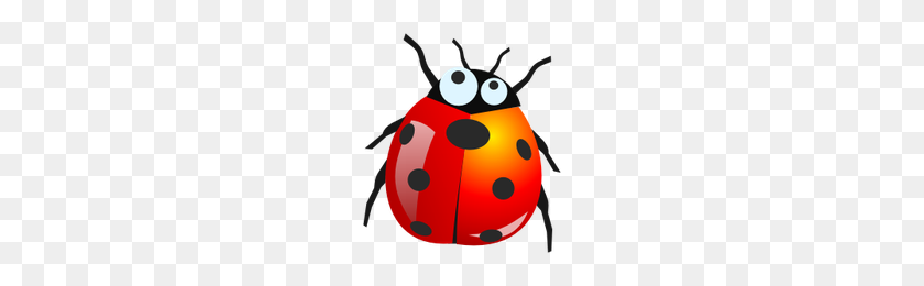 200x200 Descargar Bugs Gratis Png Photo Images And Clipart Freepngimg - Bugs Png