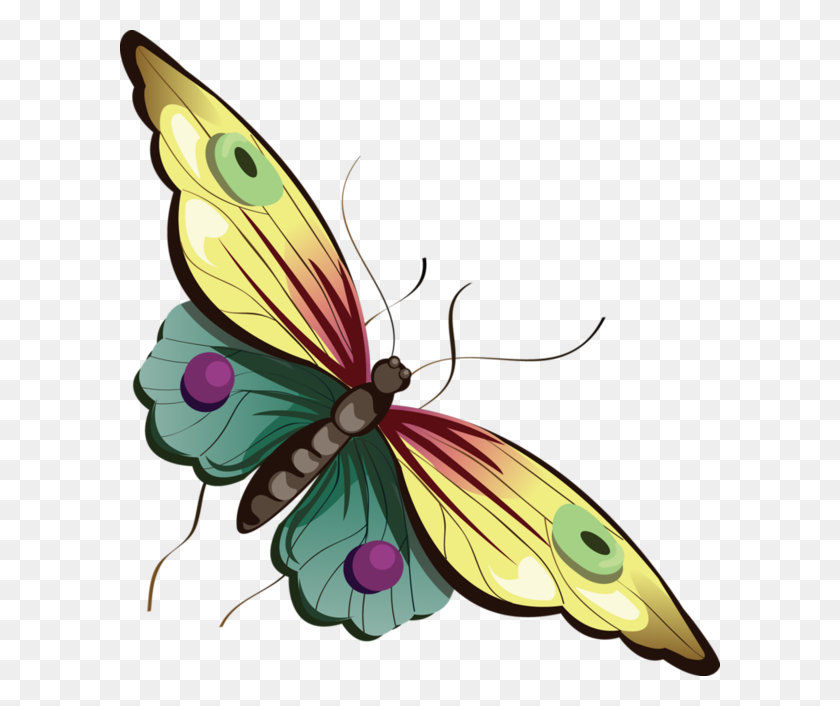 600x646 Download Butterfly Cartoon Png Clipart Butterfly Clip Art - Free Butterfly Clipart