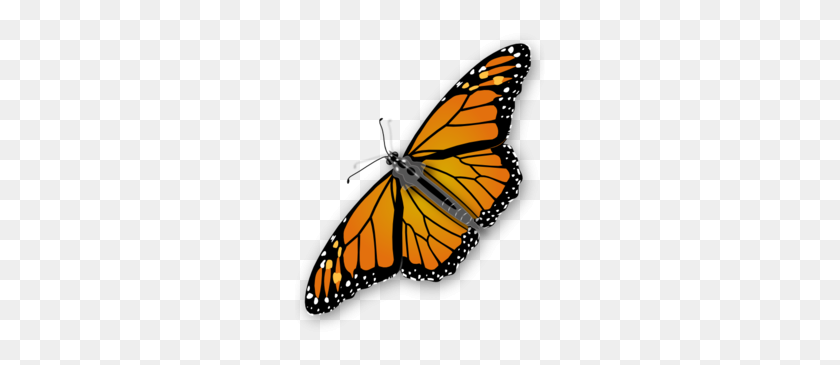 260x305 Скачать Бабочки Без Фона Клипарт Бабочки Картинки - Оранжевые Бабочки Клипарт