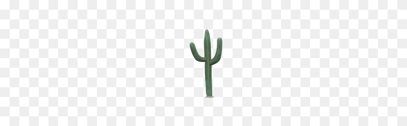 200x200 Download Cactus Free Png Photo Images And Clipart Freepngimg - Cactus PNG