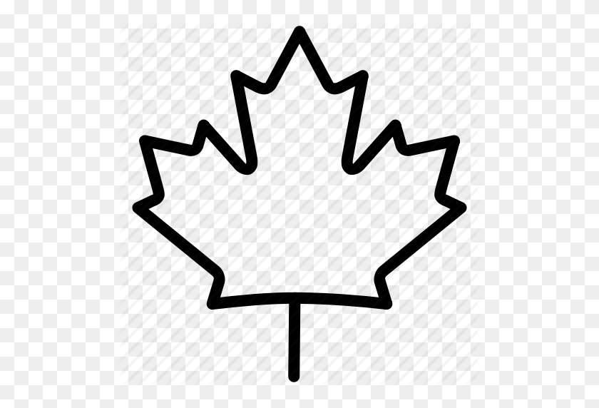 512x512 Скачать Канадский Кленовый Лист Контурный Клипарт Canada Maple Leaf - Maple Tree Clipart